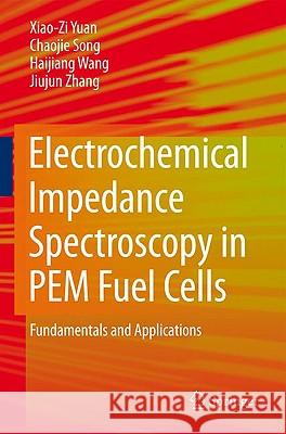 Electrochemical Impedance Spectroscopy in PEM Fuel Cells: Fundamentals and Applications Yuan 9781848828452