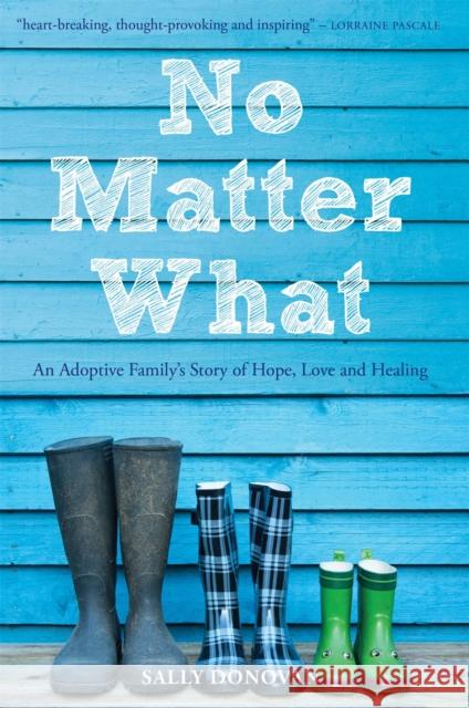 No Matter What: An Adoptive Family's Story of Hope, Love and Healing Donovan, Sally 9781849054317