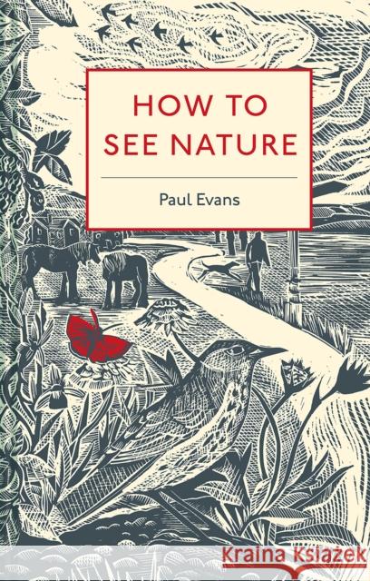 How to See Nature Paul Evans 9781849944939