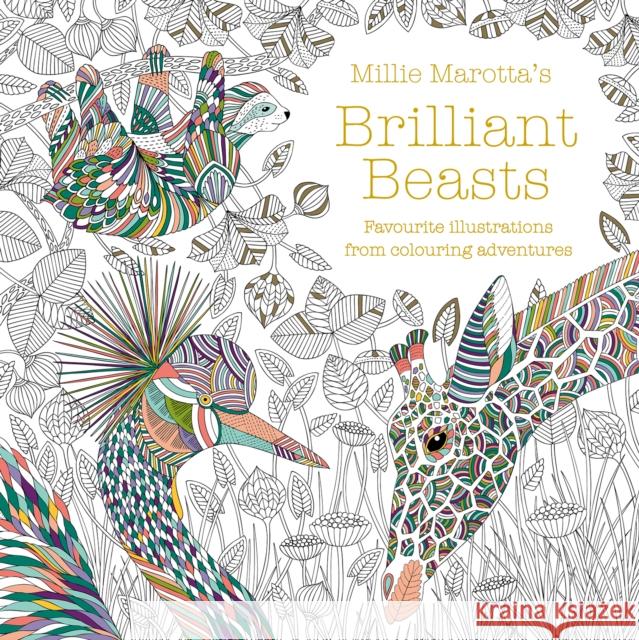 Millie Marotta's Brilliant Beasts: A collection for colouring adventures Millie Marotta 9781849946087 Batsford Ltd