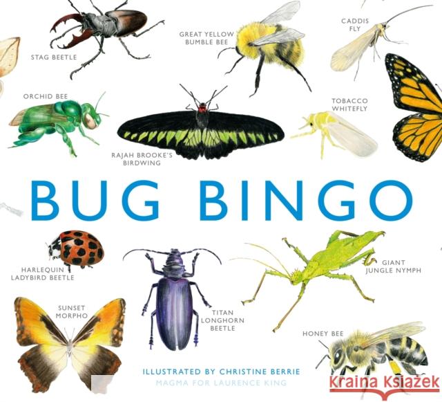 Bug Bingo Christine Berrie 9781856699402 Laurence King