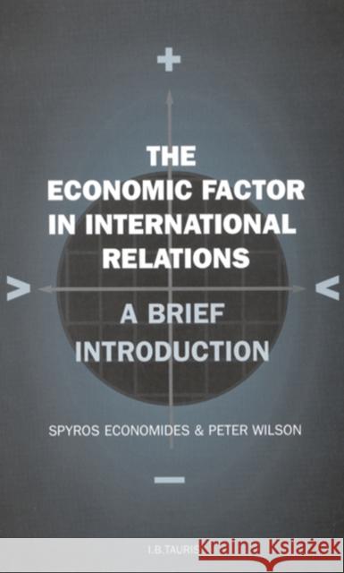 The Economic Factor in International Relations: A Brief Introduction: v. 19 Spyros Economides, Peter Wilson 9781860646621