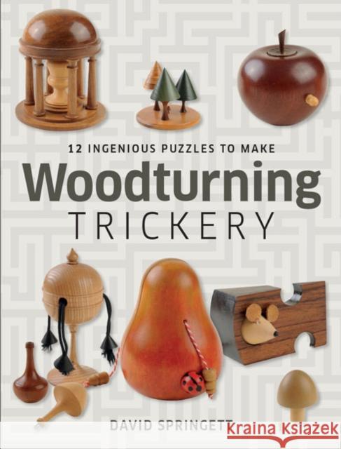 Woodturning Trickery David Springett 9781861087386 GUILD OF MASTER CRAFTSMEN