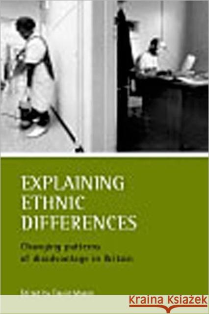 Explaining Ethnic Differences: Changing Patterns of Disadvantage in Britain Mason, David 9781861344670