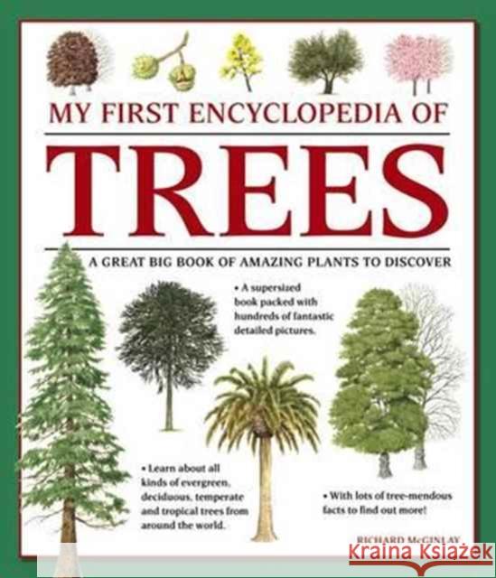My First Encyclopedia of Trees (giant Size) Mcginlay Richard 9781861478252 Anness Publishing