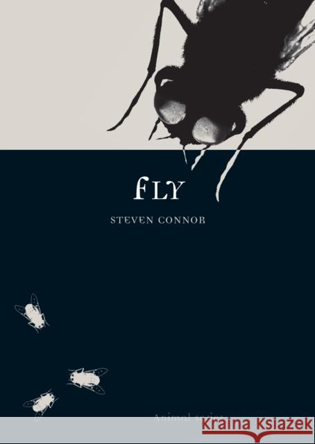 Fly Steven Connor 9781861892942 Reaktion Books