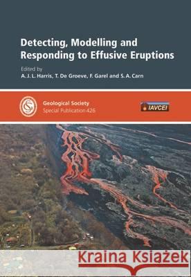 Detecting, Modelling and Responding to Effusive Eruptions A. J. L. Harris, T. de Groeve, F. Garel, Carn S. A. 9781862397361 Geological Society