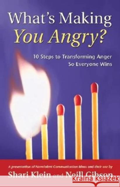 What's Making You Angry?: 10 Steps to Transforming Anger So Everyone Wins Klein, Shari 9781892005137 PuddleDancer Press