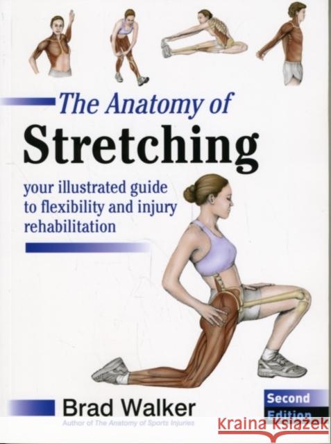The Anatomy of Stretching: Your Illustrated Guide to Flexibility and Injury Rehabilitation Brad Walker 9781905367290