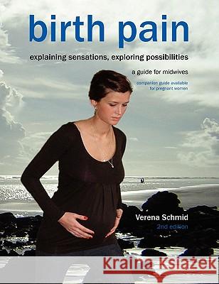 Birth Pain: Explaining Sensations, Exploring Possibilities (2nd Ed) Schmid, Verena 9781906619237 Fresh Heart Publishing