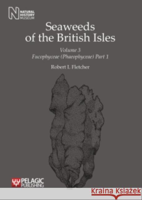 Seaweeds of the British Isles: Fucophyceae (Phaeophyceae) Fletcher, Robert L. 9781907807114 Pelagic Publishing Ltd