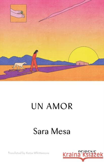 Un Amor Sara Mesa 9781908670977