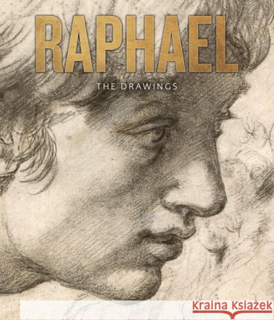 Raphael: The Drawing Catherine Whistler 9781910807156