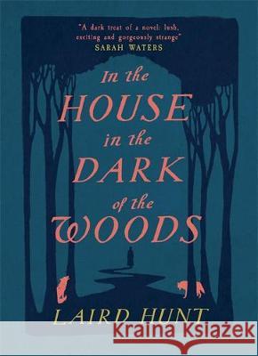 In the House in the Dark of the Woods Laird Hunt   9781911590200