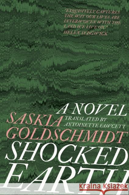 Shocked Earth Saskia Goldschmidt 9781912235681 Saraband