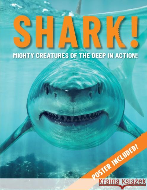 Shark!: Mighty Creatures of the Deep in Action Paul Mason 9781914087714