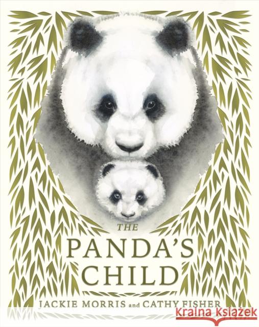 The Panda's Child Jackie Morris 9781915659057