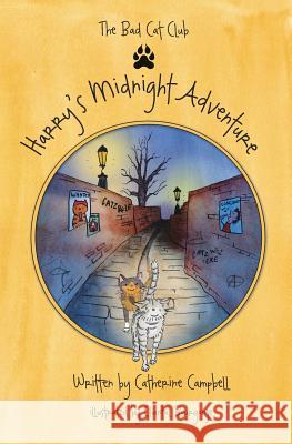 Harry's Midnight Adventure Catherine Campbell Chantal Bourgonje 9781916453807