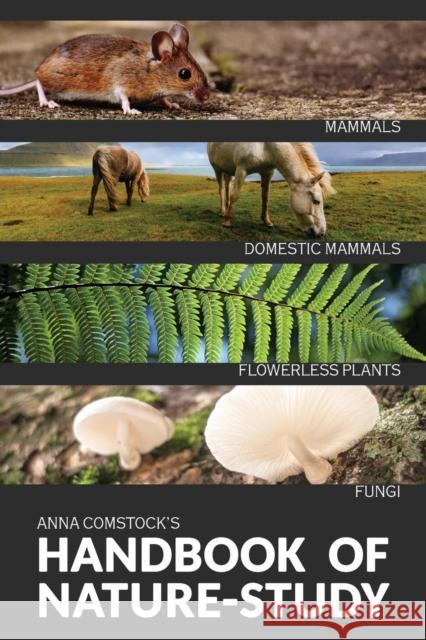 The Handbook Of Nature Study in Color - Mammals and Flowerless Plants Amma Comstock 9781922348654