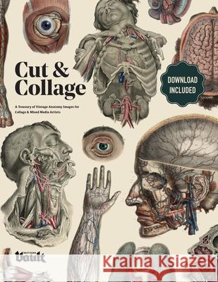 Cut and Collage A Treasury of Vintage Anatomy Images for Collage and Mixed Media Artists Kale James 9781925968484 Vault Editions Ltd