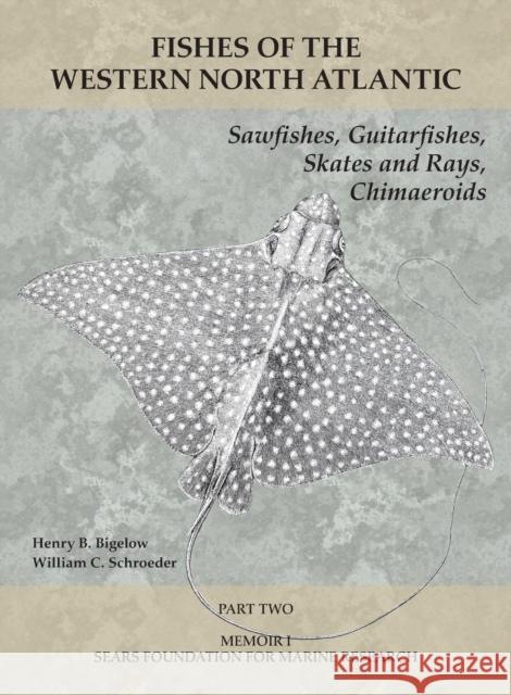 Sawfishes, Guitarfishes, Skates and Rays, Chimaeroids: Part 2 Albert E. Parr Henry B. Bigelow William C. Schroeder 9781933789125 Yale Peabody Museum