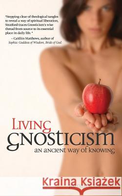 Living Gnosticism: An Ancient Way of Knowing Stratford, Jordan 9781933993539 Apocryphile Press