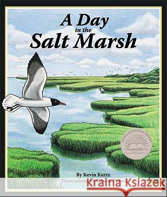 A Day in the Salt Marsh Kevin Kurtz Consie Powell 9781934359198 Sylvan Dell Publishing