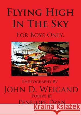 Flying High in the Sky---For Boys Only Penelope Dyan John D. Weigand 9781935118664 Bellissima Publishing
