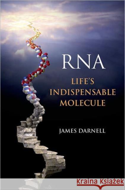 Rna: Life's Indispensable Molecule Darnell, James 9781936113194