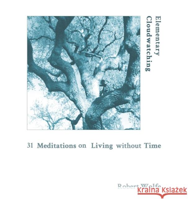 Elementary Cloudwatching: 31 Meditations on Living Without Time Robert Wolfe 9781937902186