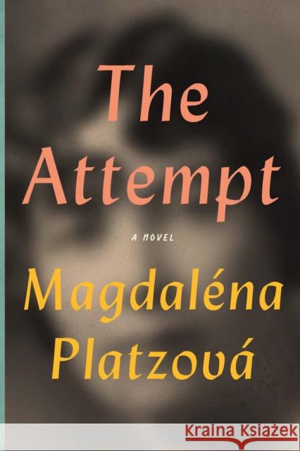The Attempt Magdalena Platzova Alex Zucker 9781942658085 Bellevue Literary Press