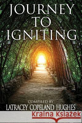 Journey to Igniting Latracey Copeland Hughes Bea Moore Nannette Norvel 9781947970007 Purposeful Publishing and Consulting
