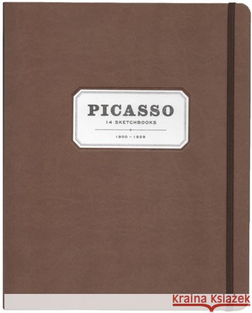 Picasso: 14 Sketchbooks Pablo Picasso 9781948701648