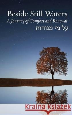 Beside Still Waters: A Journey of Comfort and Renewal Rachel Barenblat 9781953829979 Ben Yehuda Press