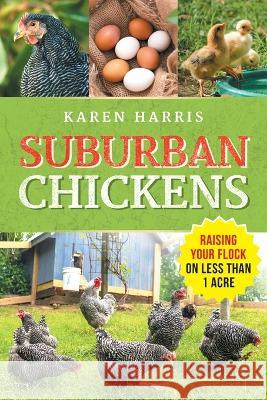 Suburban Chickens: Raising Your Flock on Less Than One Acre Karen Harris   9781954288874 LP Media Inc.