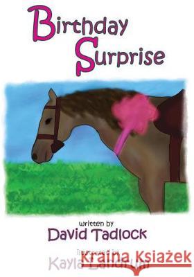 Birthday Surprise David Tadlock Kayla Landrum 9781974501908 Createspace Independent Publishing Platform
