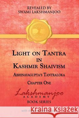 Light on Tantra in Kashmir Shaivism: Chapter One of Abhinavagupta's Tantraloka Hughes, John 9781976547218
