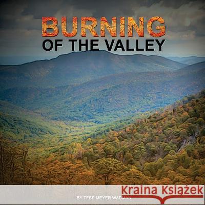 Burning Of The Valley Wadman, Tess Meyer 9781984358783 Createspace Independent Publishing Platform