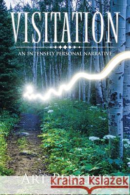 Visitation: An Intensely Personal Narrative Art Perkins 9781984509055