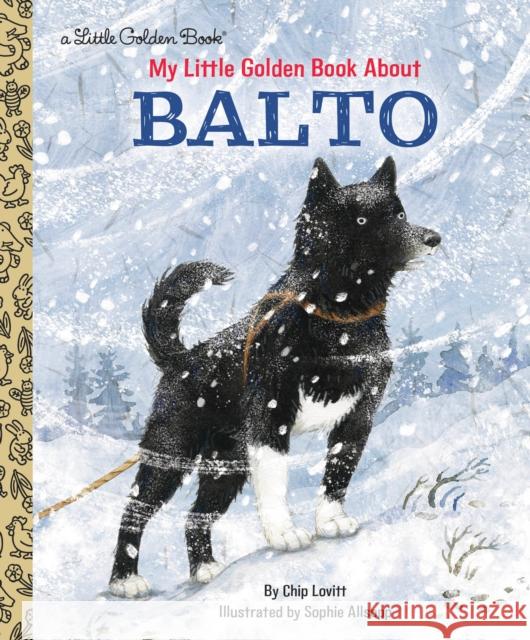 My Little Golden Book About Balto Sophie Allsopp 9781984893529 Golden Books