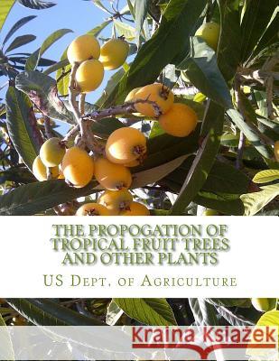 The Propogation of Tropical Fruit Trees and Other Plants: Bureau of Plant Industry, Bulletin 48 Us Dept of Agriculture Roger Chambers 9781985120273 Createspace Independent Publishing Platform