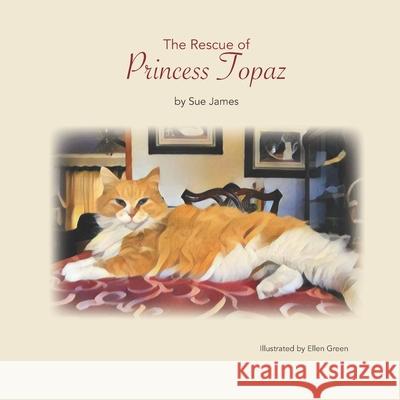 The Rescue of Princess Topaz Sue James 9781986312257 Createspace Independent Publishing Platform