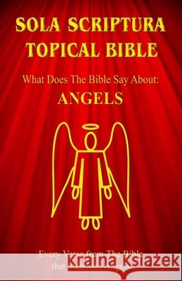 Sola Scriptura Topical Bible: What Does The Bible Say About Angels? Daniel John 9781988271644