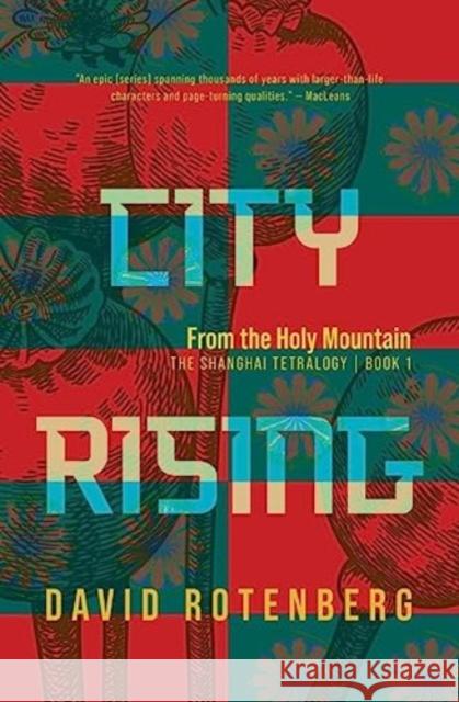 City Rising: From the Holy Mountain David Rotenberg 9781998779086 At Bay Press