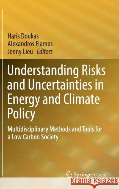 Understanding Risks and Uncertainties in Energy and Climate Policy: Multidisciplinary Methods and Tools for a Low Carbon Society Doukas, Haris 9783030031510