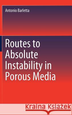 Routes to Absolute Instability in Porous Media Antonio Barletta 9783030061937