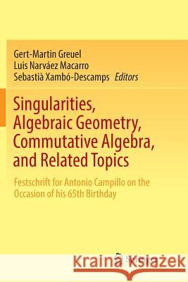 Singularities, Algebraic Geometry, Commutative Algebra, and Related Topics: Festschrift for Antonio Campillo on the Occasion of His 65th Birthday Greuel, Gert-Martin 9783030072582 Springer