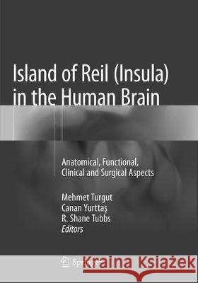 Island of Reil (Insula) in the Human Brain: Anatomical, Functional, Clinical and Surgical Aspects Turgut, Mehmet 9783030092405