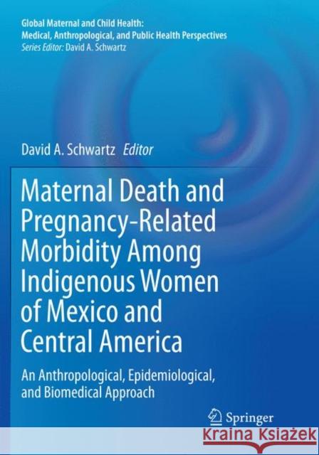 Maternal Death and Pregnancy-Related Morbidity Among Indigenous Women of Mexico and Central America: An Anthropological, Epidemiological, and Biomedic Schwartz, David A. 9783030100704
