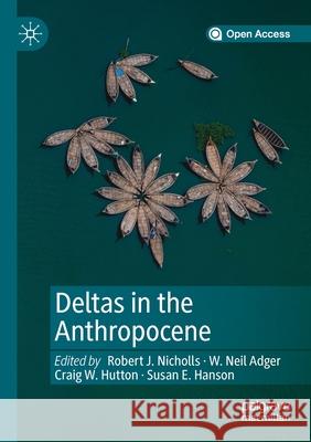 Deltas in the Anthropocene Robert J Nicholls W Neil Adger Craig W Hutton 9783030235192 Palgrave MacMillan